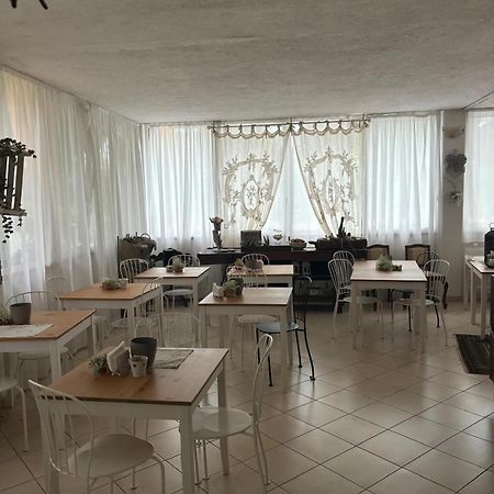Casa Versilia Hotel Marina di Massa Bagian luar foto